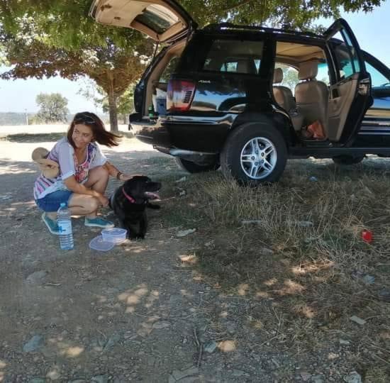Quinta Da Lousa Guest House - Valongo - Porto Dış mekan fotoğraf